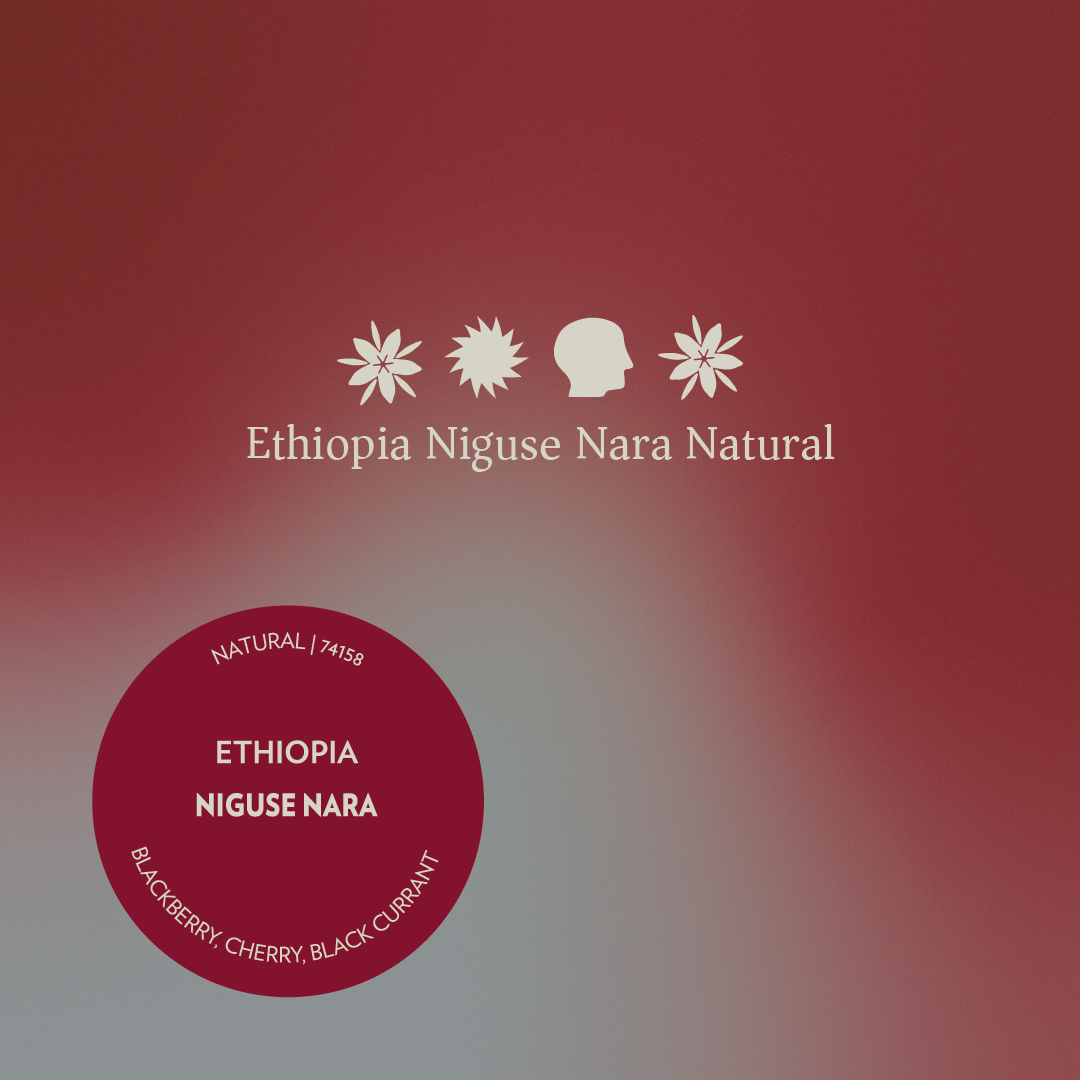 Ethiopia - Niguse Nara - Natural 74158