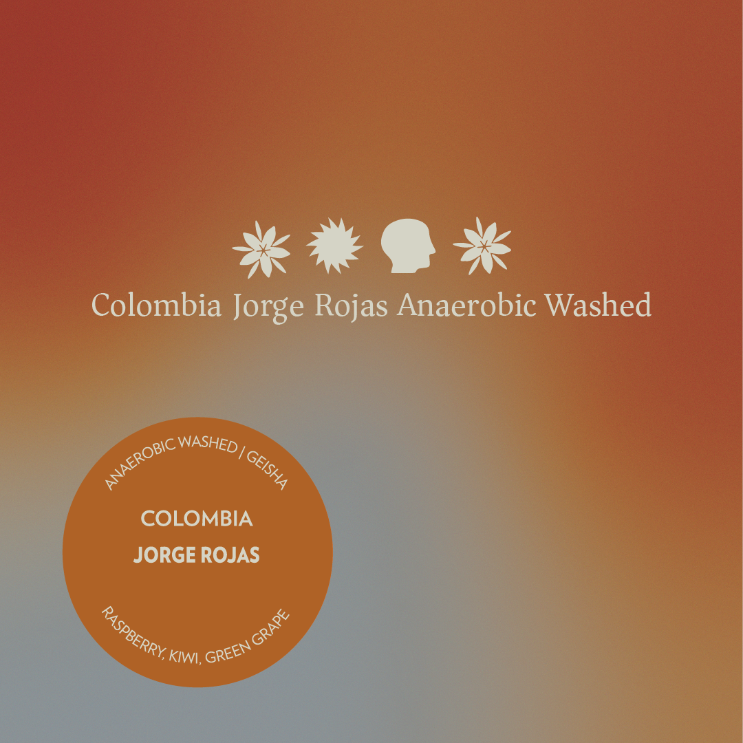 Colombia - Jorge Rojas - Anaerobic Washed Geisha