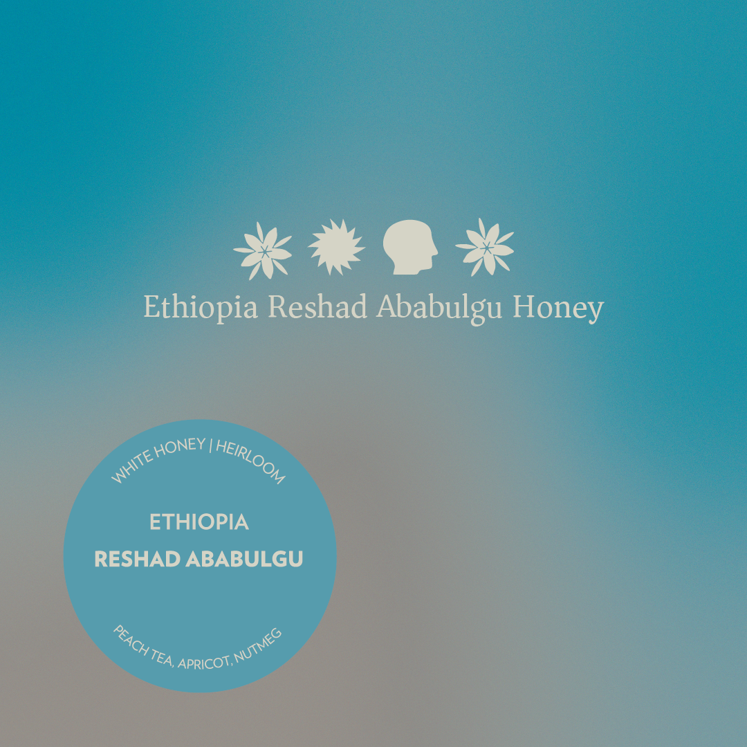 Ethiopia - Reshad Ababulgu - Honey Heirloom