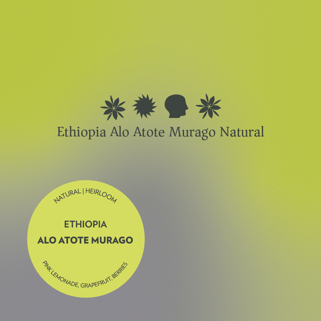 Ethiopia - Alo Atote Murago - Natural Heirloom