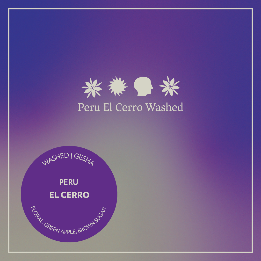 Peru - El Cerro - Washed Gesha