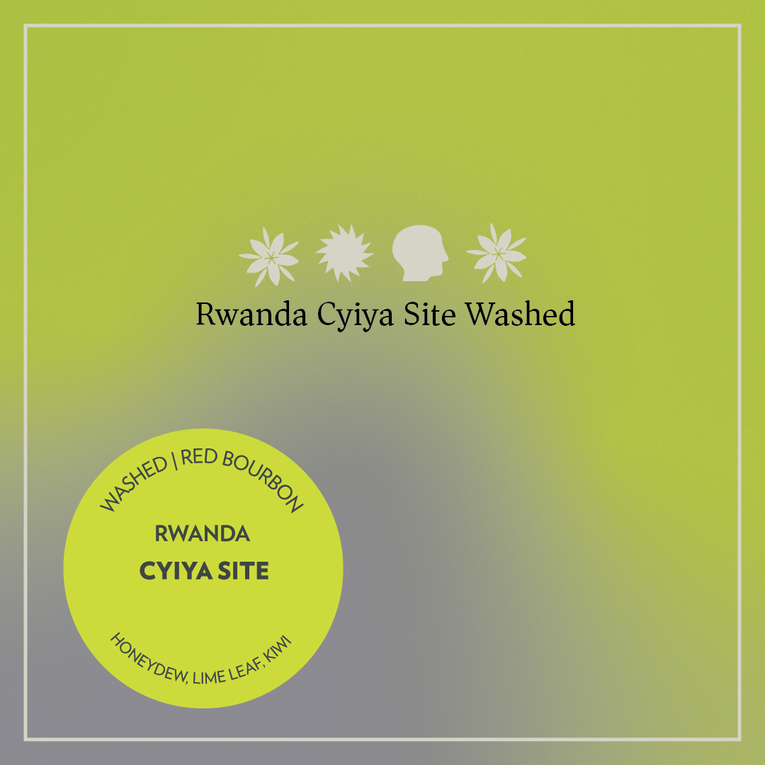 Rwanda - Cyiya Site - Washed Red Bourbon