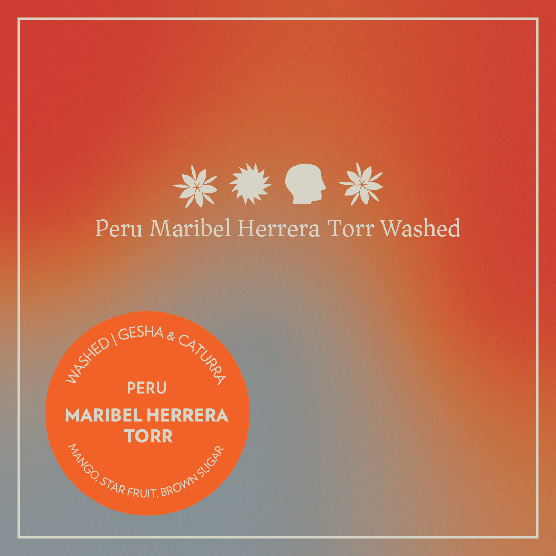 Peru - Maribel Herrera Torr - Washed Gesha & Caturra