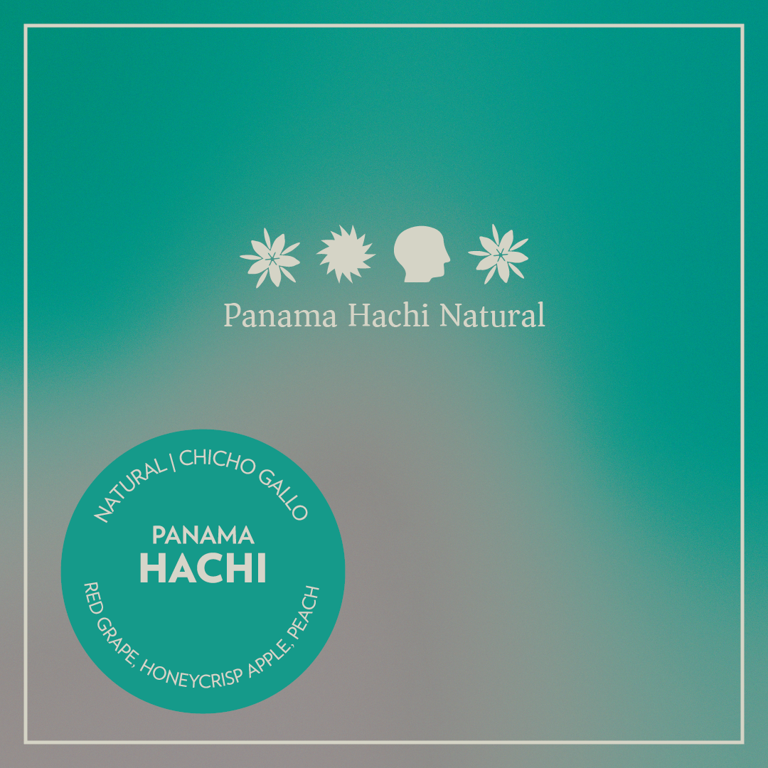 Panama - Hachi - Natural Hatsuka - 100grams
