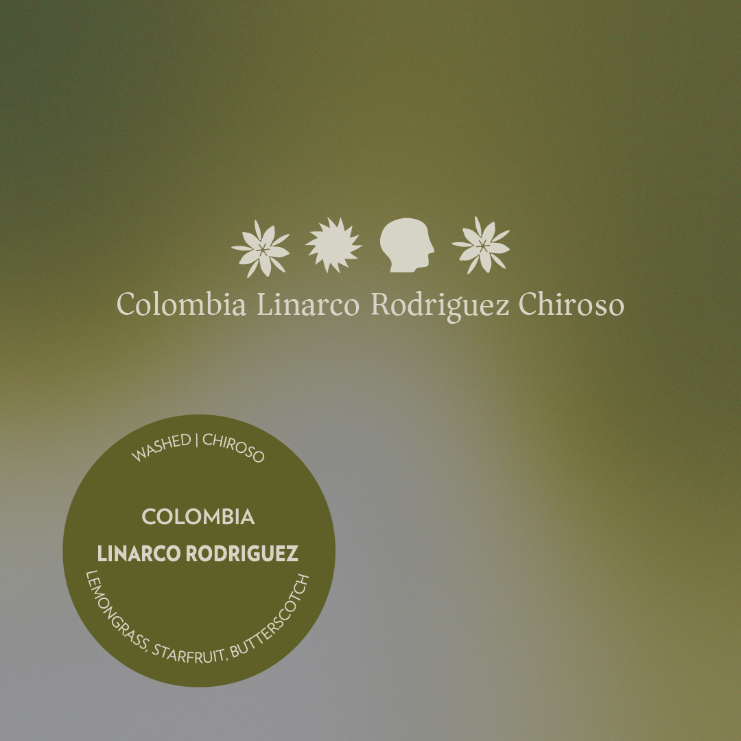 Colombia - Linarco Rodriguez - Washed Chiroso