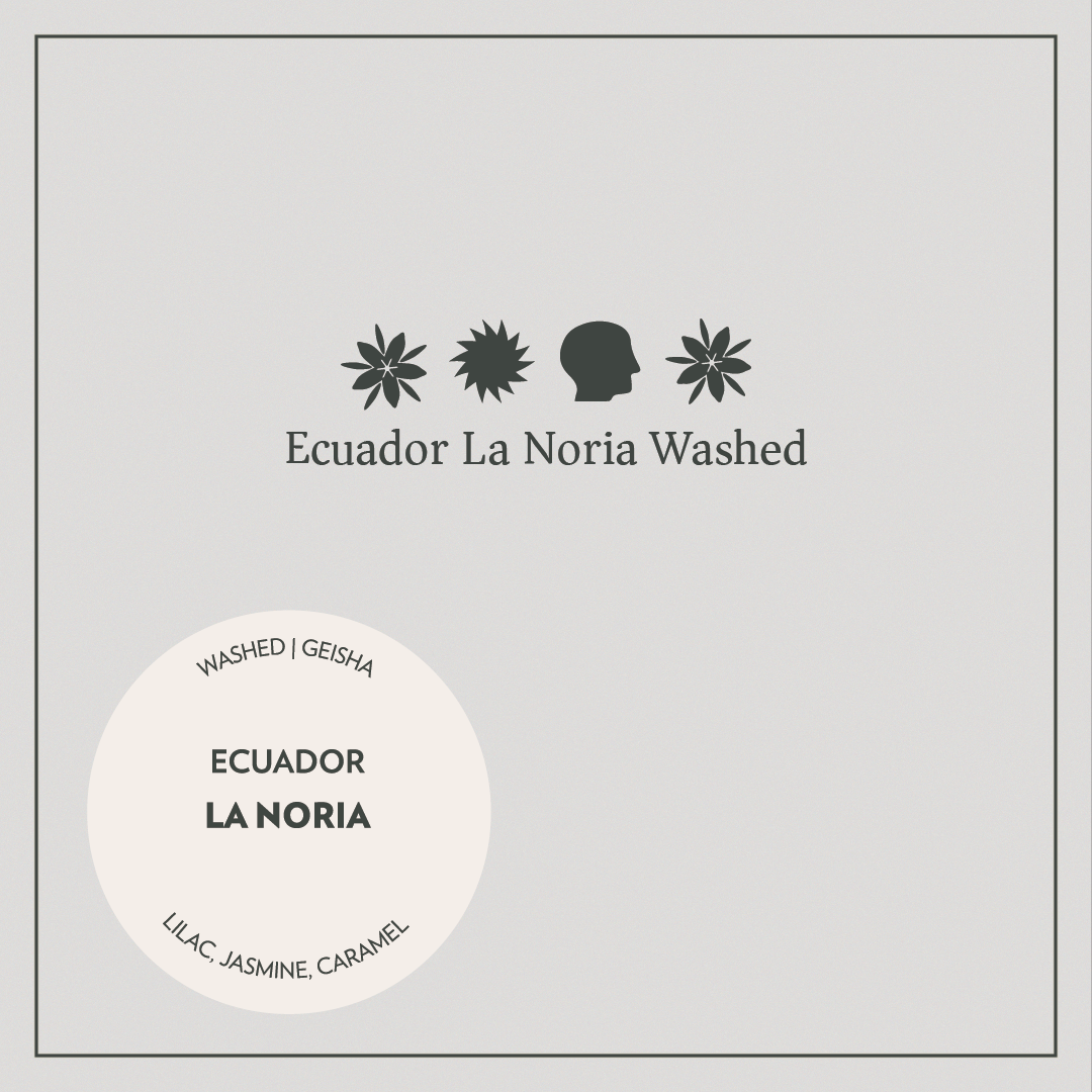 Photo of Ecuador - La Noria - Washed Geisha