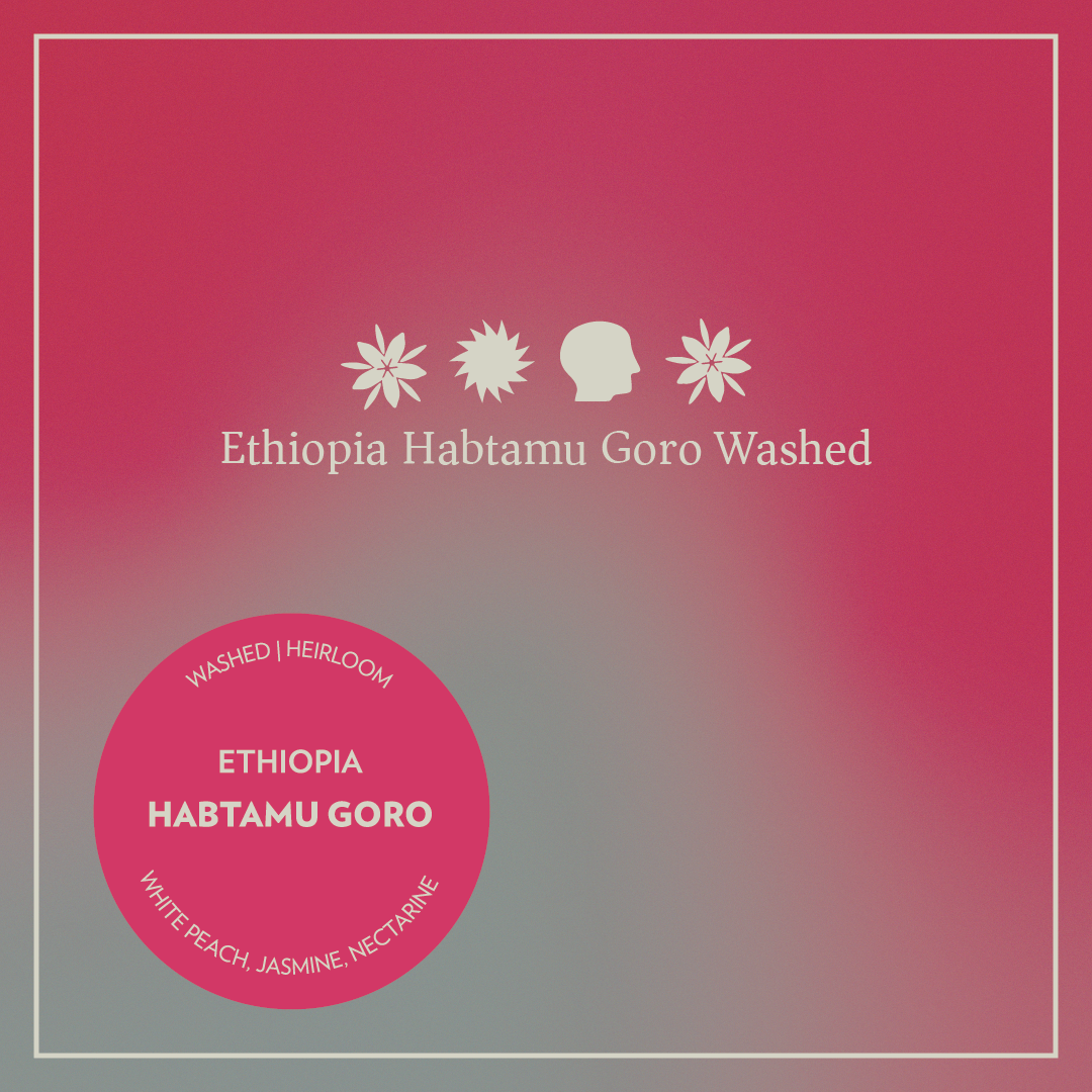 Photo of Ethiopia - Hambatu Goro - Washed Heirloom