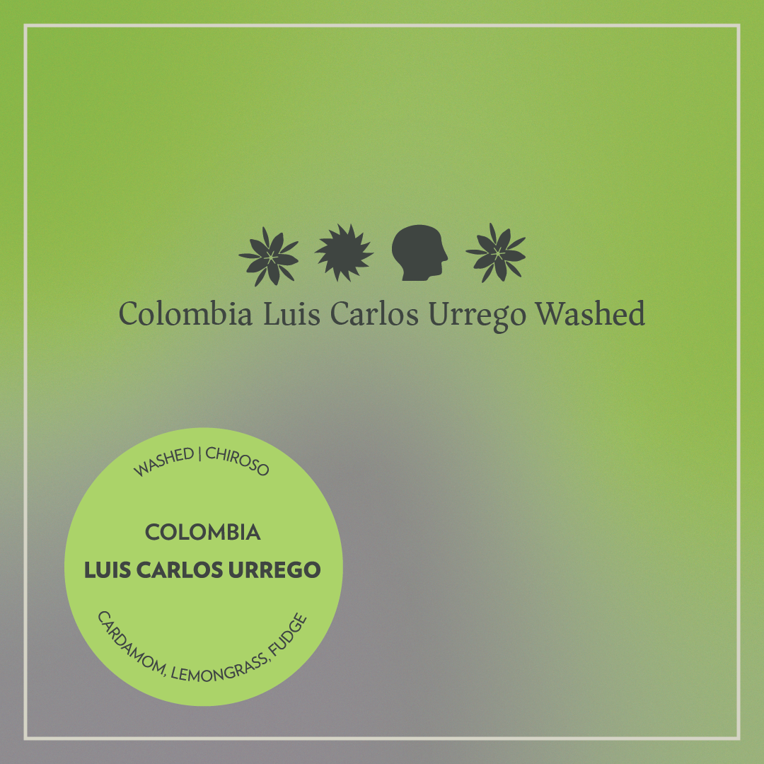 Photo of Colombia - Luis Carlos Urrego - Washed Chiroso