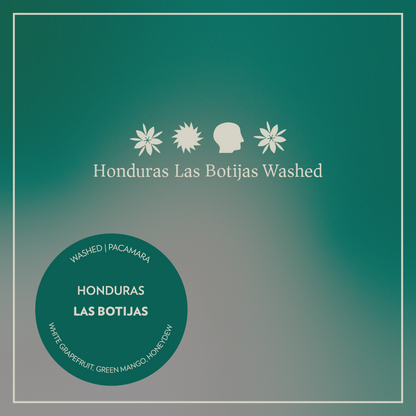 Honduras - Las Botijas - Washed Pacamara