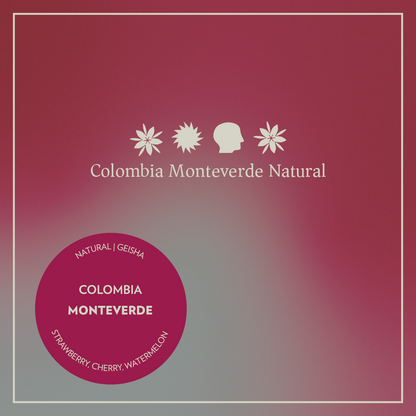 Colombia - Monteverde - Natural Geisha