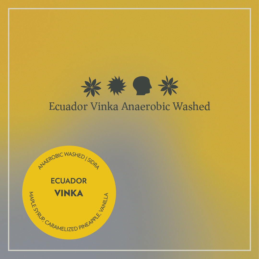 Ecuador - Vinka - Anaerobic Washed Sidra