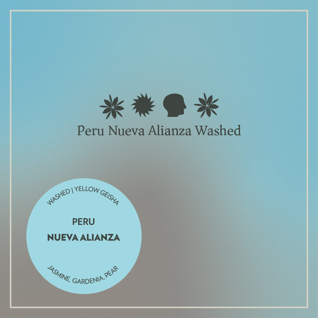 Peru - Nueva Alianza - Washed Yellow Geisha