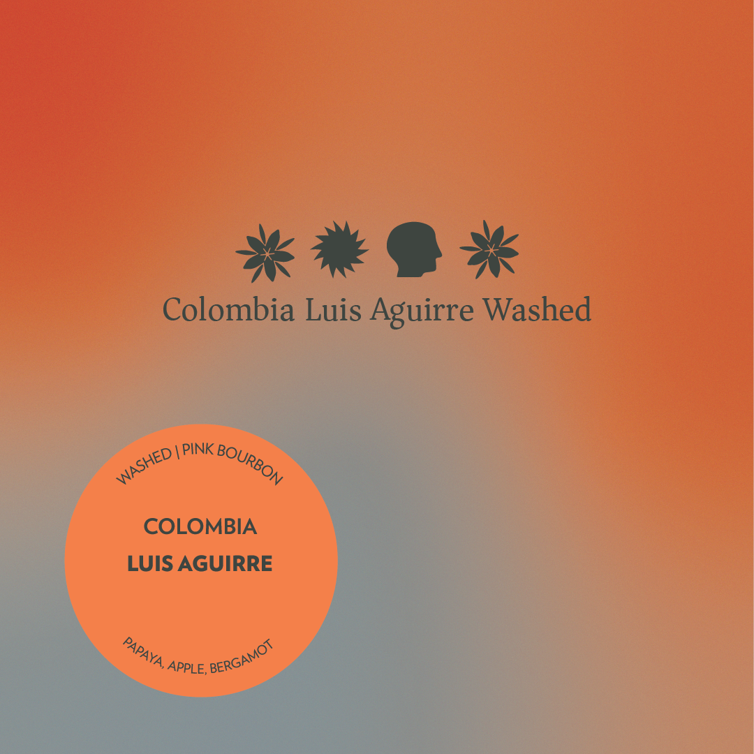 Colombia - Luis Aguirre - Washed Pink Bourbon