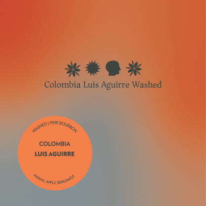 Colombia - Luis Aguirre - Washed Pink Bourbon