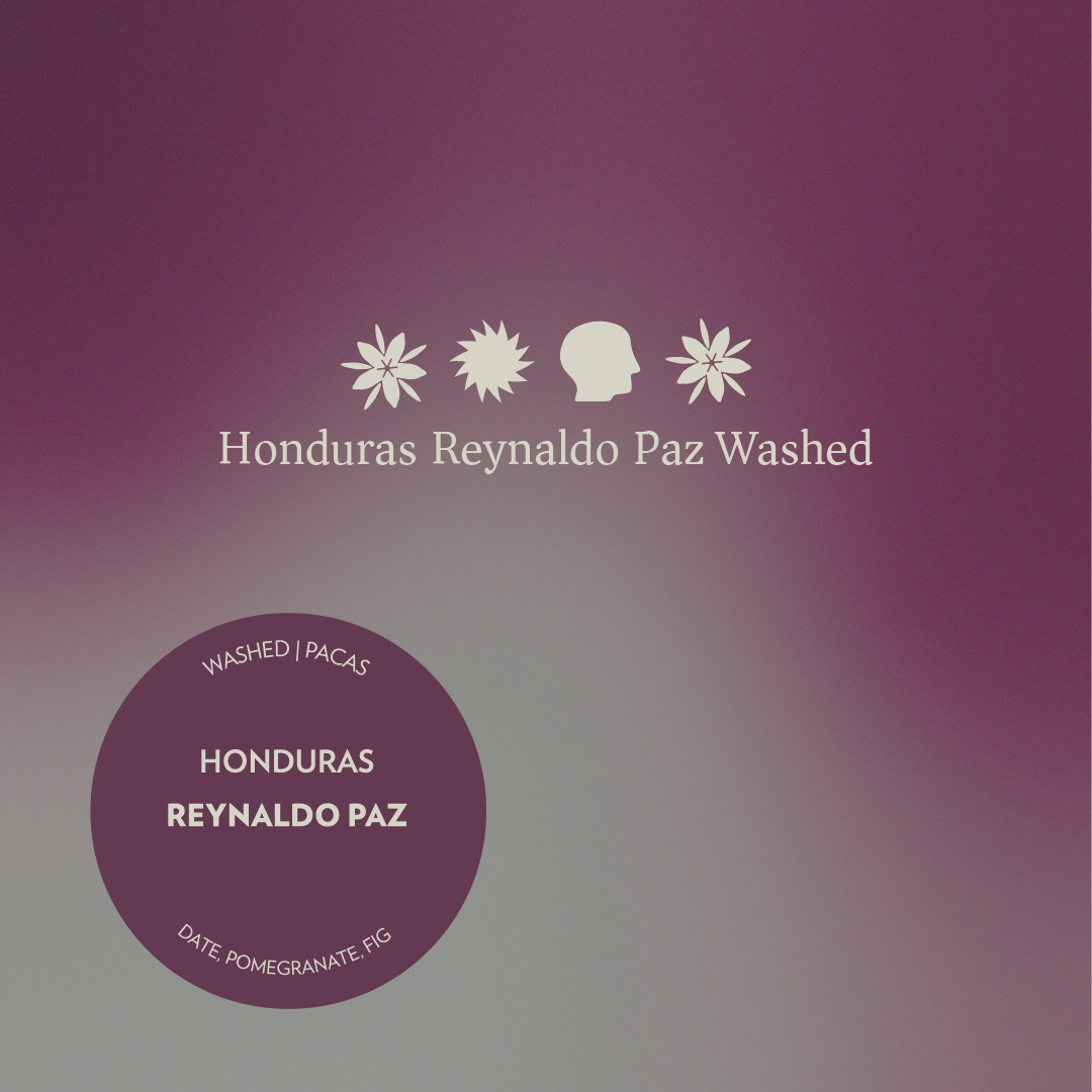 Honduras - Reynaldo Paz - Washed Pacas