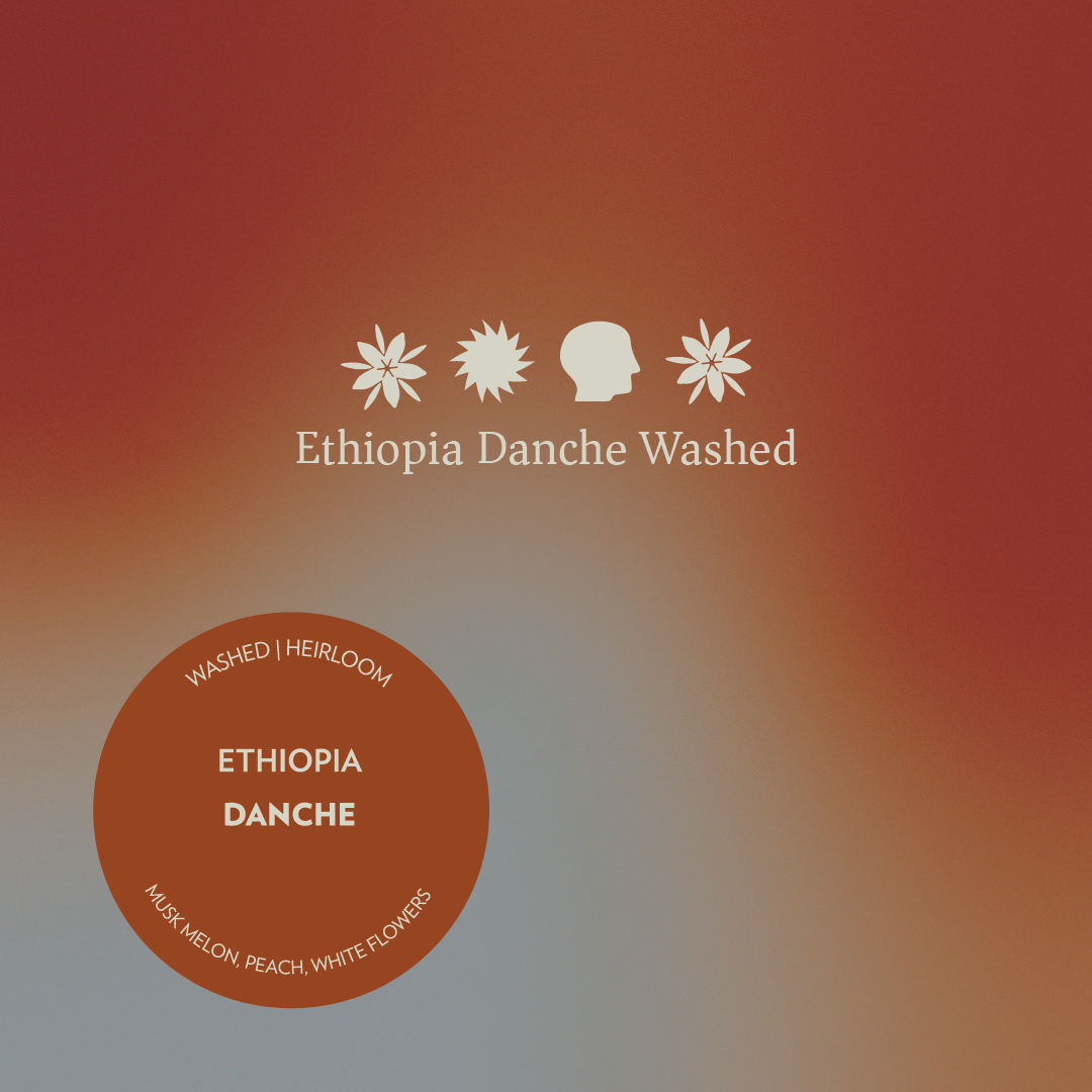 Ethiopia - Danche - Washed Heirloom