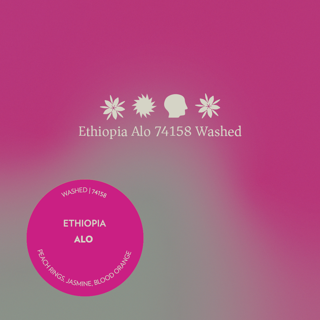 Ethiopia - Alo - Washed 74158