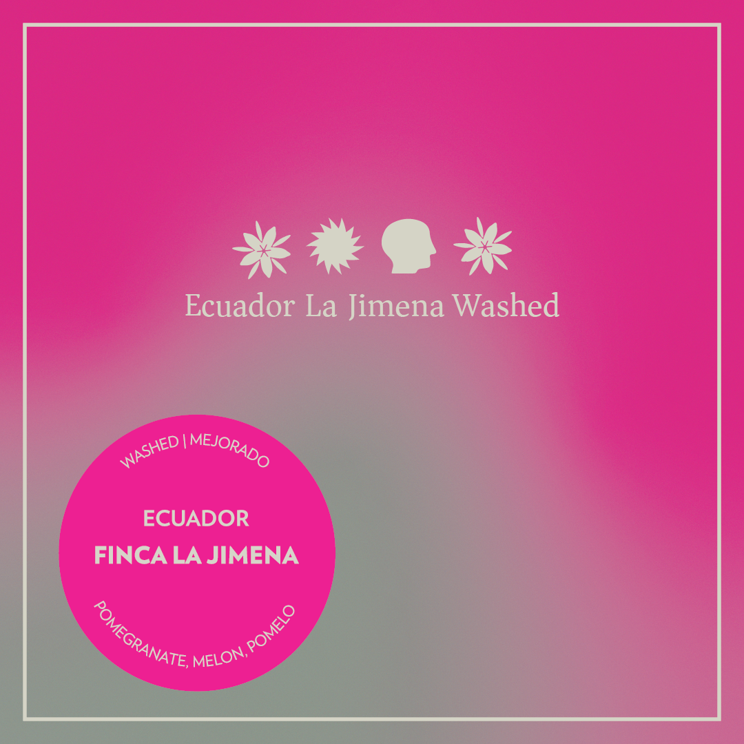 Photo of Ecuador - Finca La Jimena - Washed Typica Mejorado