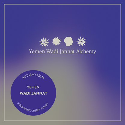 Yemen - Wadi Jannat - Alchemy SL34