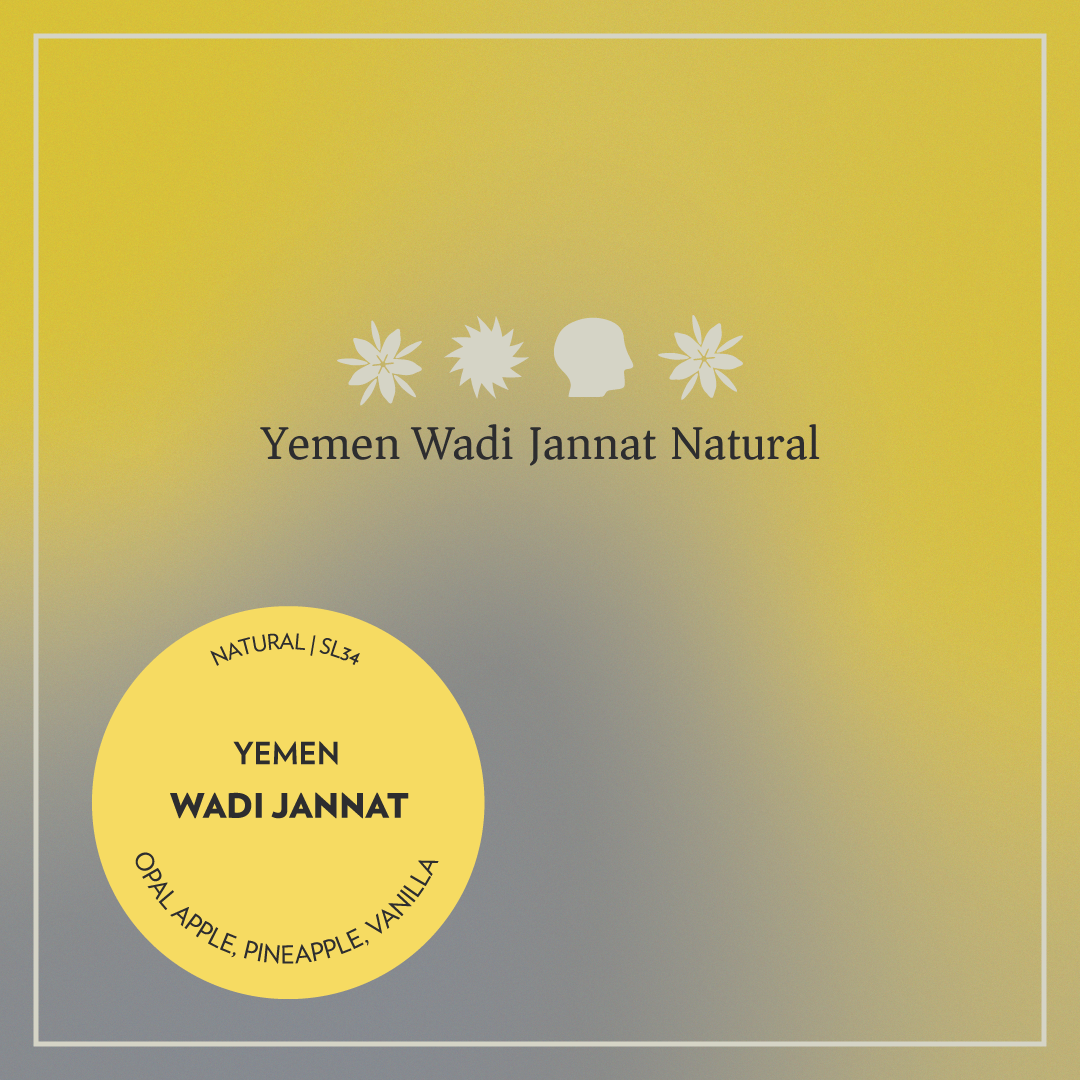 Yemen - Wadi Jannat - Natural SL34
