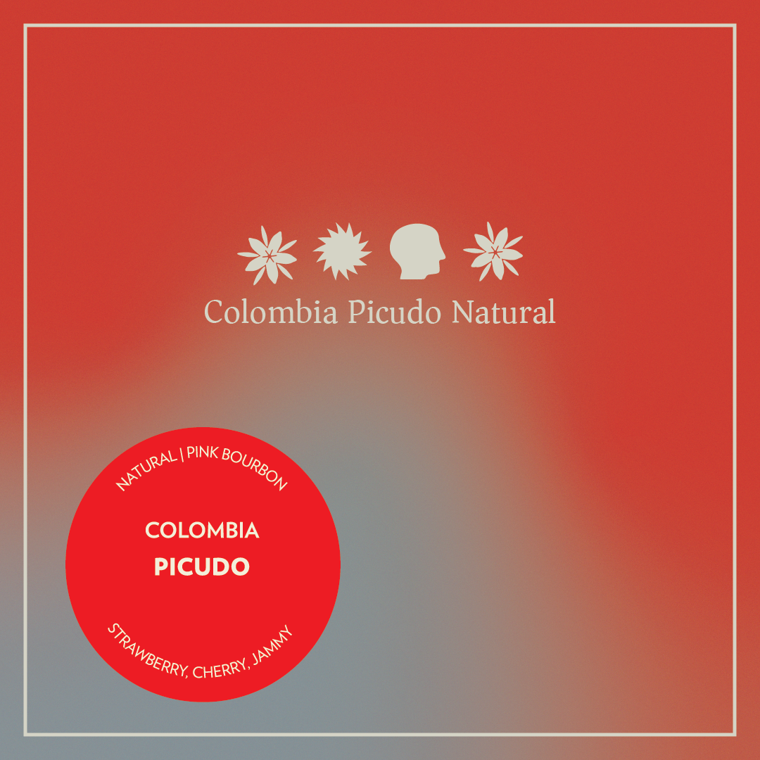 Colombia - Picudo - Natural Pink Bourbon