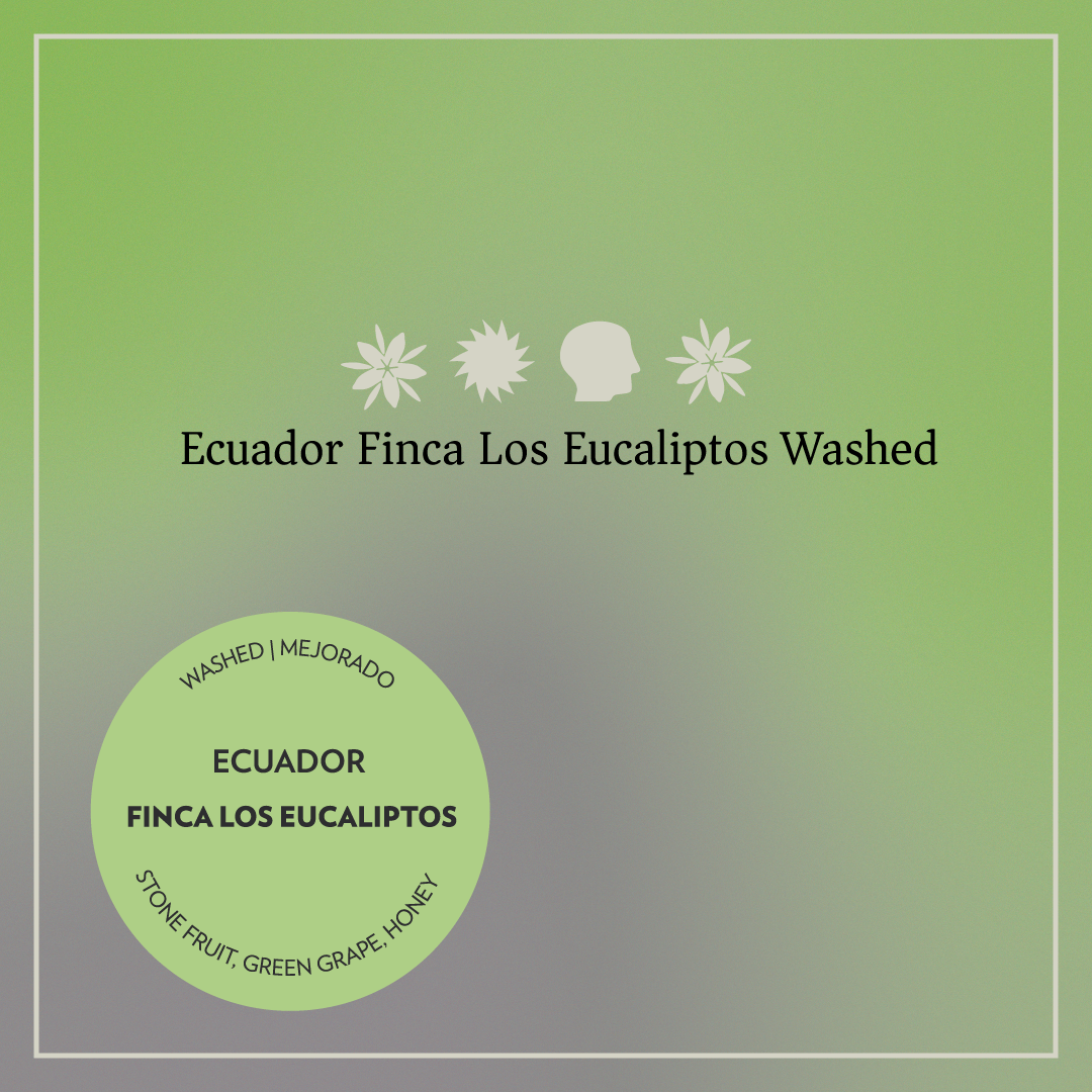 Photo of Ecuador - Finca Los Eucaliptos - Washed Mejorado
