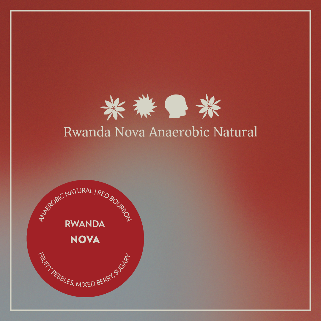 Photo of Rwanda - Nova Washing Station - Anaerobic Natural Red Bourbon