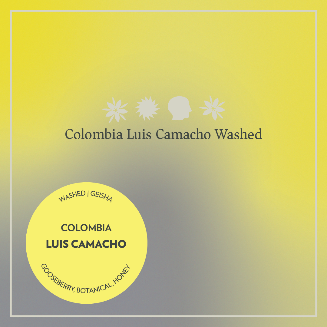 Colombia - Luis Camacho - Washed Geisha