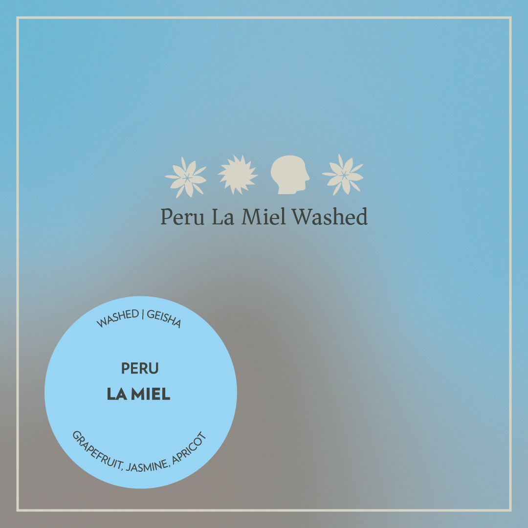 Peru - La Miel - Washed Geisha